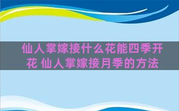 仙人掌嫁接什么花能四季开花 仙人掌嫁接月季的方法